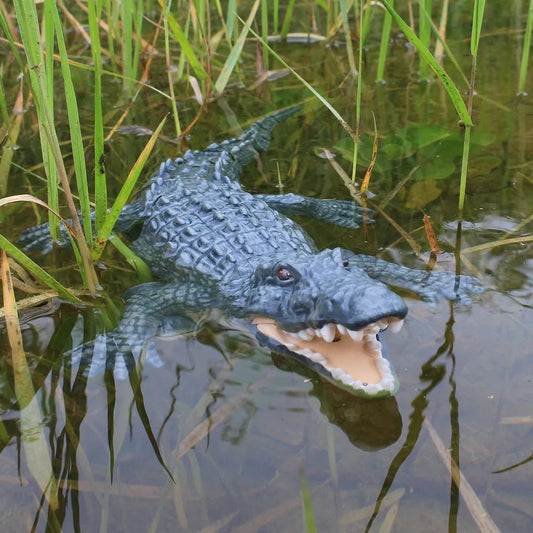 Remote Control Crocodile